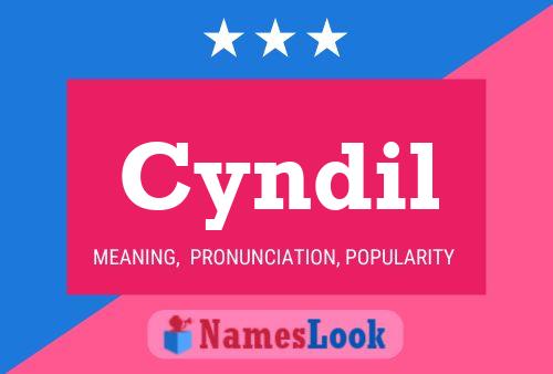 Cyndil Name Poster