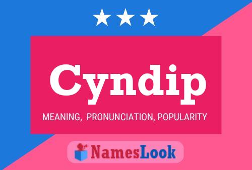 Cyndip Name Poster