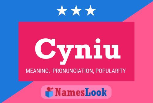 Cyniu Name Poster