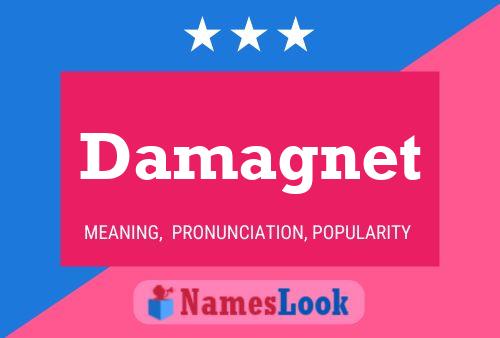 Damagnet Name Poster