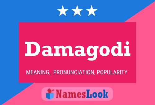 Damagodi Name Poster