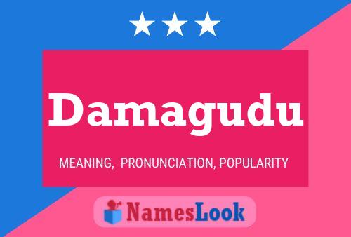 Damagudu Name Poster