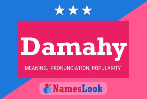 Damahy Name Poster