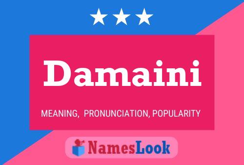 Damaini Name Poster