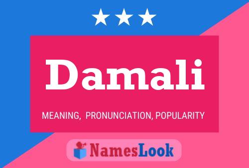 Damali Name Poster