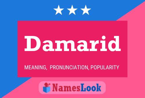 Damarid Name Poster