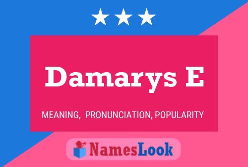 Damarys E Name Poster