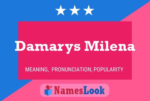 Damarys Milena Name Poster