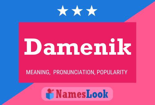 Damenik Name Poster