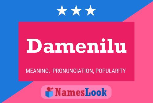 Damenilu Name Poster