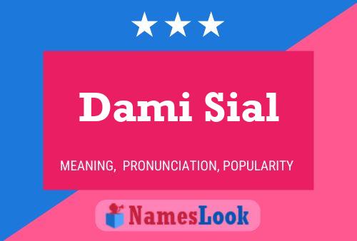 Dami Sial Name Poster