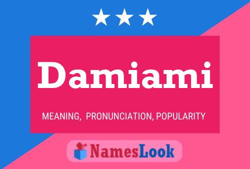 Damiami Name Poster