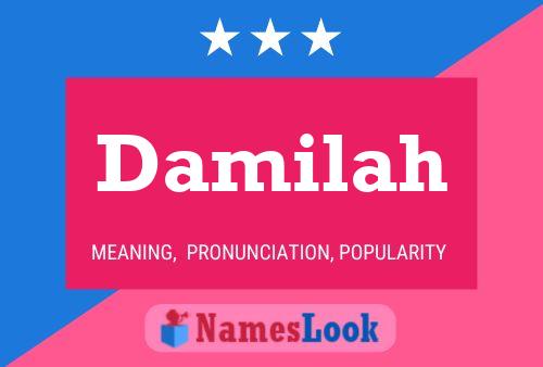 Damilah Name Poster