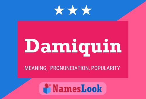 Damiquin Name Poster