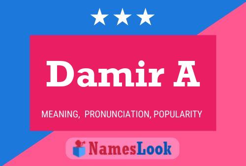 Damir A Name Poster