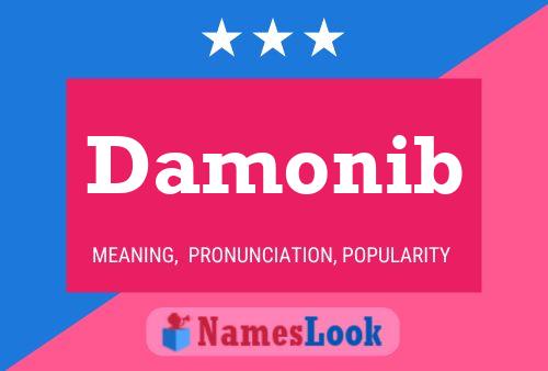 Damonib Name Poster