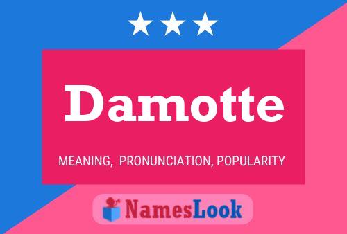 Damotte Name Poster