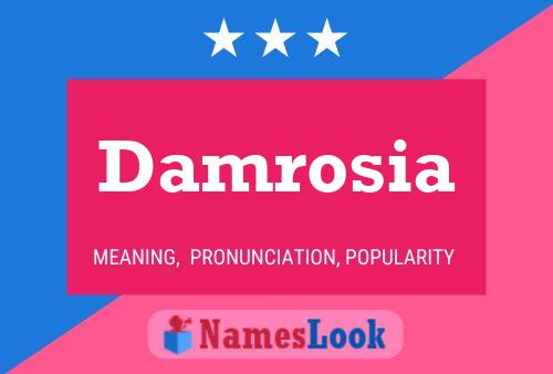 Damrosia Name Poster