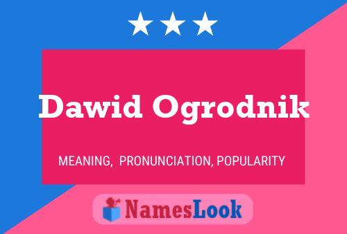 Dawid Ogrodnik Name Poster