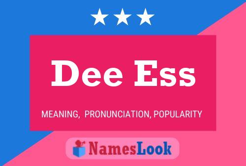 Dee Ess Name Poster