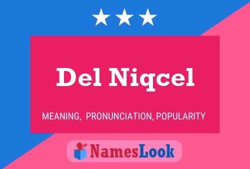 Del Niqcel Name Poster