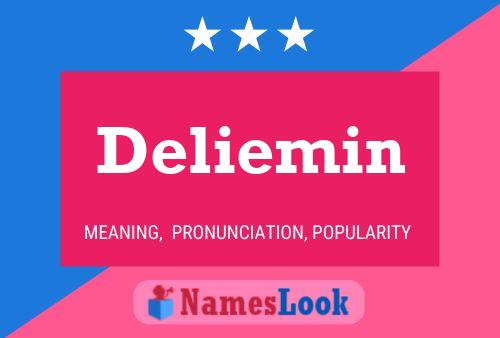 Deliemin Name Poster