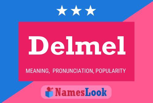 Delmel Name Poster