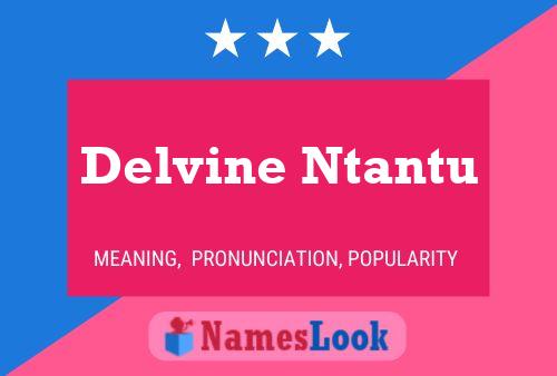 Delvine Ntantu Name Poster