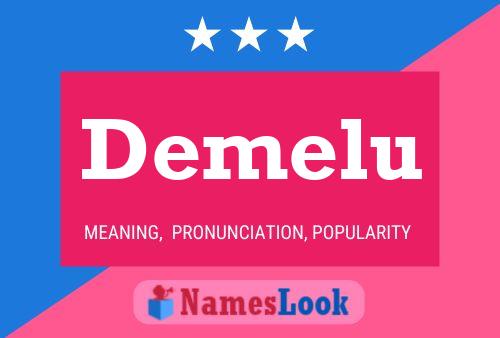 Demelu Name Poster