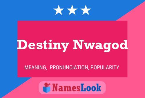 Destiny Nwagod Name Poster