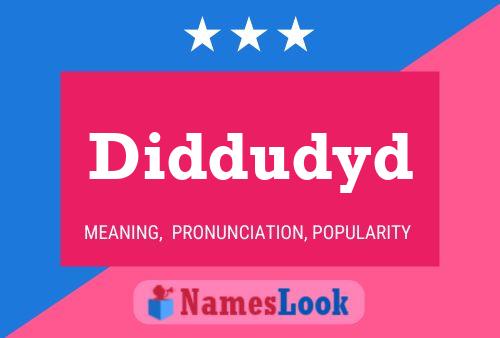 Diddudyd Name Poster