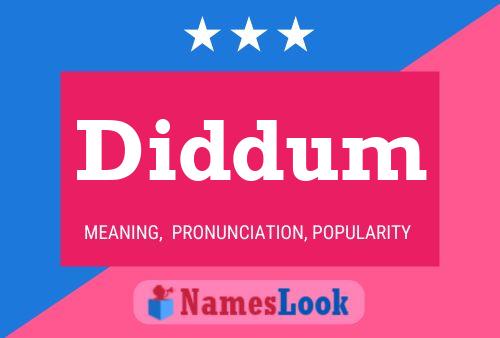 Diddum Name Poster