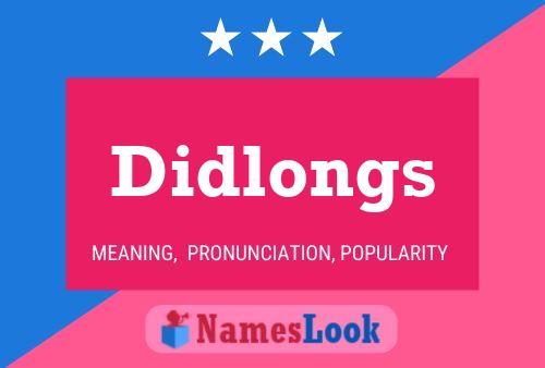 Didlongs Name Poster