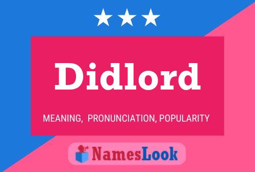 Didlord Name Poster