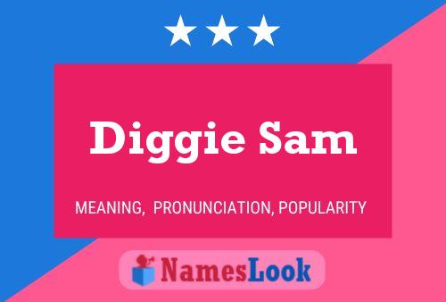 Diggie Sam Name Poster