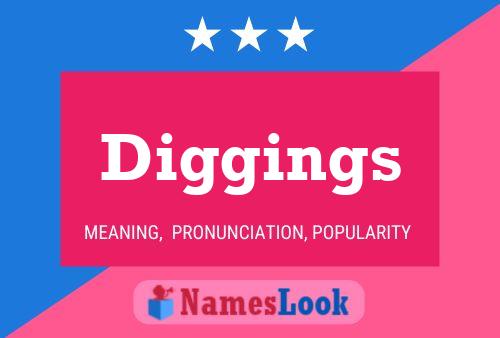 Diggings Name Poster