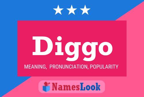 Diggo Name Poster