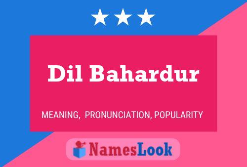 Dil Bahardur Name Poster