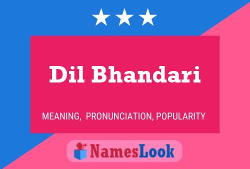 Dil Bhandari Name Poster