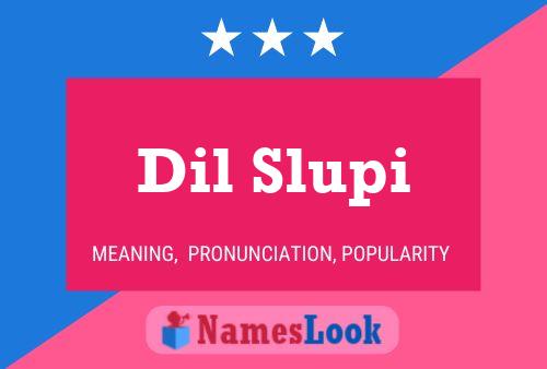 Dil Slupi Name Poster