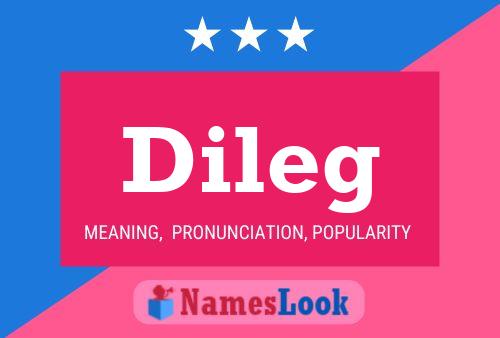 Dileg Name Poster