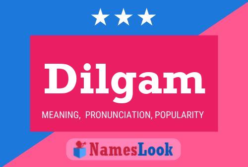 Dilgam Name Poster