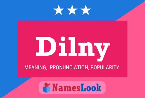 Dilny Name Poster