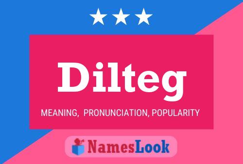 Dilteg Name Poster