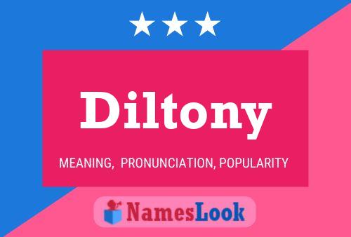 Diltony Name Poster