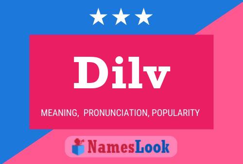 Dilv Name Poster