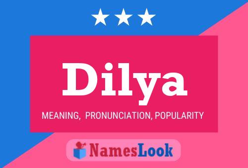 Dilya Name Poster