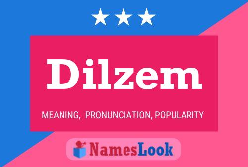 Dilzem Name Poster