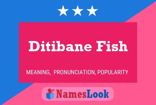 Ditibane Fish Name Poster