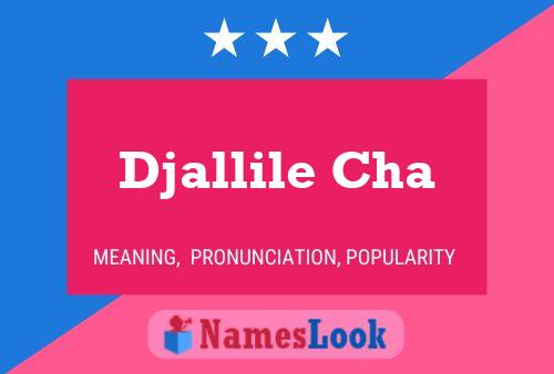 Djallile Cha Name Poster